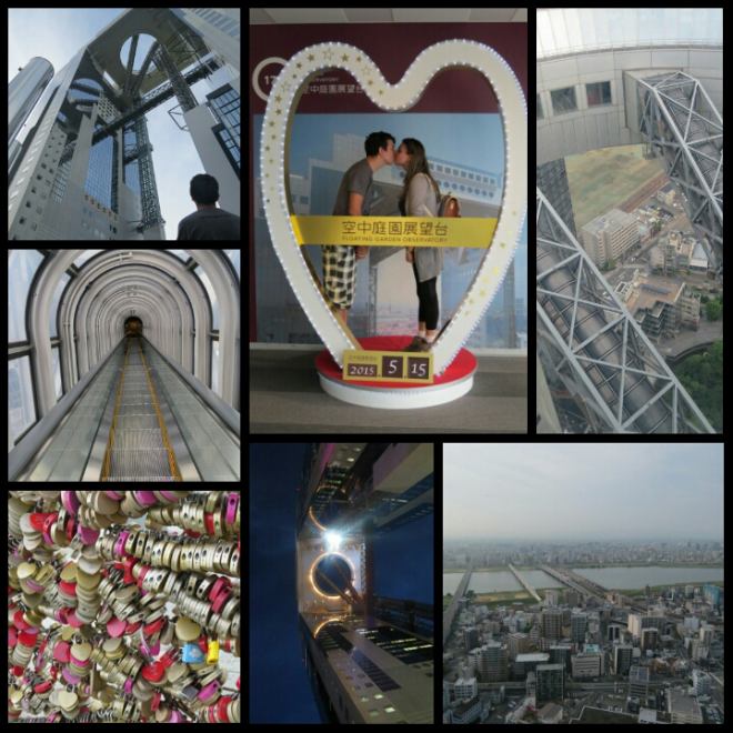 PhotoGrid_1440113471784