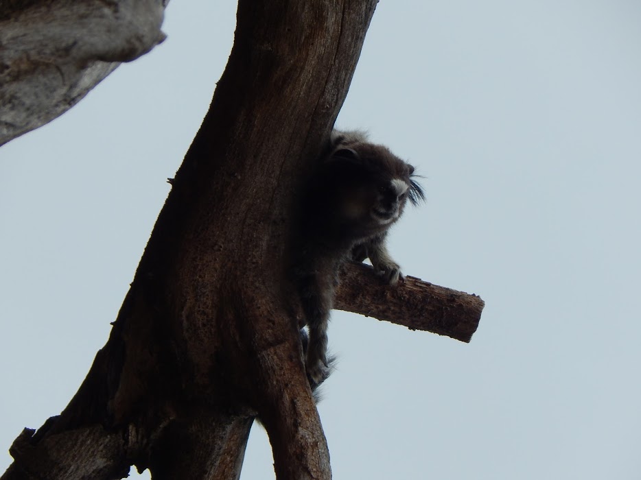 aPVdLPnRGbMHr6-wz76wwuqADJmUVivDKa0KTQ3W