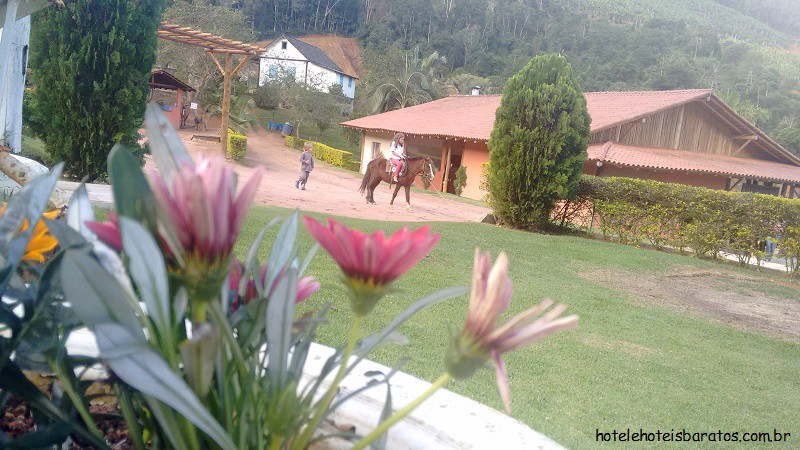 domingos-martins-passeios-a-cavalo-para-crian%C3%A7as.jpg?w=800