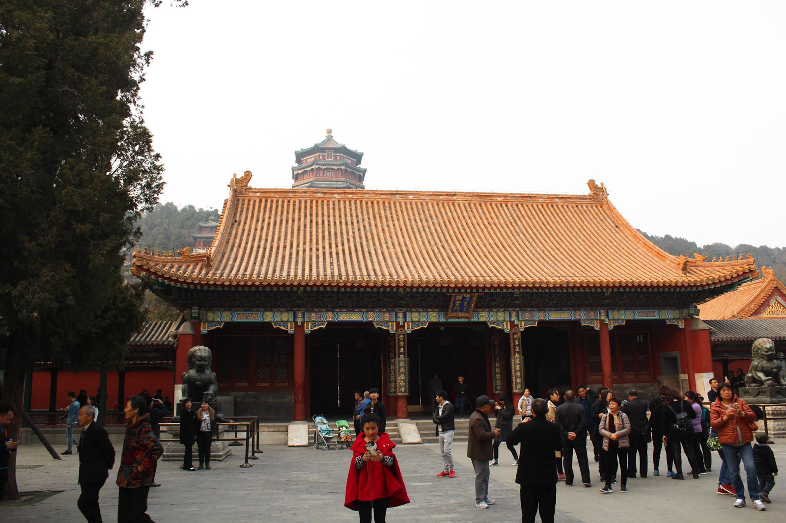 qr9tVENDce53gkmQNRPtgPxPVQan-A8CZTnqQmYkCL8MrffcBroSDJOeiMLlxv3IRjhppgXtxQdS9sxzfrbaXibDyZw0IEnWPhLSCJHSHHy7n7mfTW99sux_DUTEc57WuEh9-24e