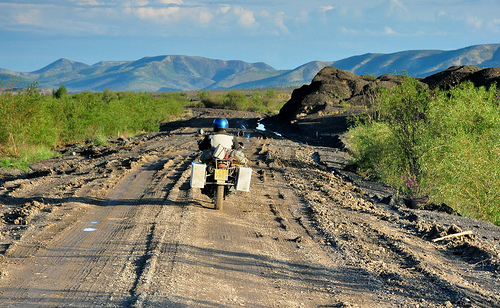 3741151219_c9869623ef.jpg?v=0