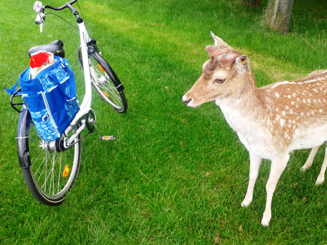 2014-05-05-15-41-51.jpg?w=640&h=480