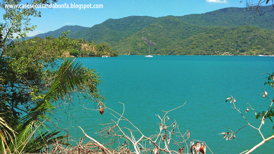 DSC_3484%25255B2%25255D.png?imgmax=800