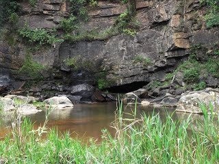 CACH_PIOLHO.jpg?height=240&width=320