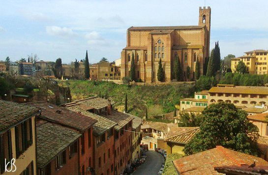 DSC_3317%25255B2%25255D.png?imgmax=800