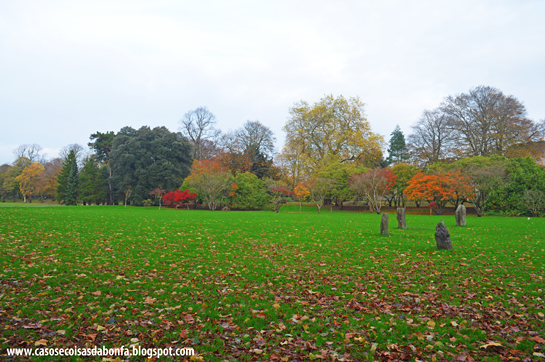 DSC_0197%25255B5%25255D.png?imgmax=800