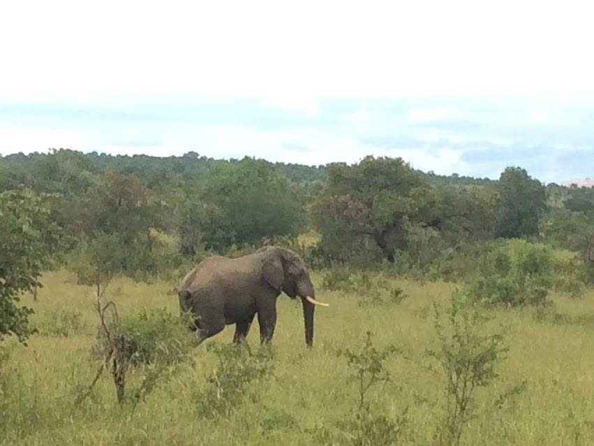 17760202_10211762867283706_3537001143317794907_n.jpg?oh=6a350b5dd73ffc89a6a1642c2ee4d2d8&oe=59938C34