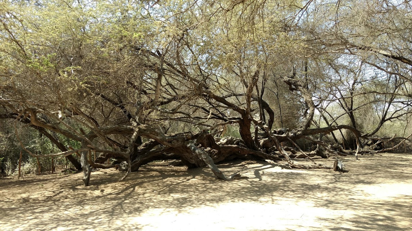 RSfyXZ0-AawlC3I0oghHgg8GEg2rP30jm4McYRC1aZbK25mxpWegbE8pUfhP8CU1ENQn9QwML8Qt0yDFAqWQ-Y-UeLLSsC4O1TEx-SnYruiFddQuvNQ54pPd9cQ2tHh2zTXMfryOqHWzL680UYFzIraymmiBC3_e8jcZQ8BJYxXsEjCNwsB5616pW-fvouoHSJ_bspsQW4YxvWcF2Rb_OtBY8ORzGDXKTjXkTVyS0H_f37kuF0NoRngni7JPGQTlhEPp5330Qc3CRZUtZrazt3EVYRlcSTx9FynniW7KOhVyKbNGNCBP_Zxu4zA_5lzFhJ8UpWaPKYPBNhDtnRlnYF2Gwx1dVJtpFti66vKUGg8Xx_ewQdGt0DmbPne2ToCVkV-ec1VXfwklsK4sZvDhs6VrO1Mh0HYffK66OurXa-P_e_UGO1SFfzjTnLXhmnW8NLoY9lWxnX7dYhqpMIrTp0eyQCBYo2IKjs5VZ4Jr3-xugH1w1ugvyCPb282Kgh8KYbgz12Hn8fPN0ygwMlMPqrFIJDI2yyNbGuf2YdMTvnWo2wWLkLwo1as_mcRntRBkihPoxM4WaKRQp_7nY0lfUxsCtb5TMbBKAoNX_XJietHOdKmNl1aaRFm1x5vlj7SRwIoXVwkuBiFwN0dKcmfHefh-mPLoWF6khzZC=w1435-h808-no