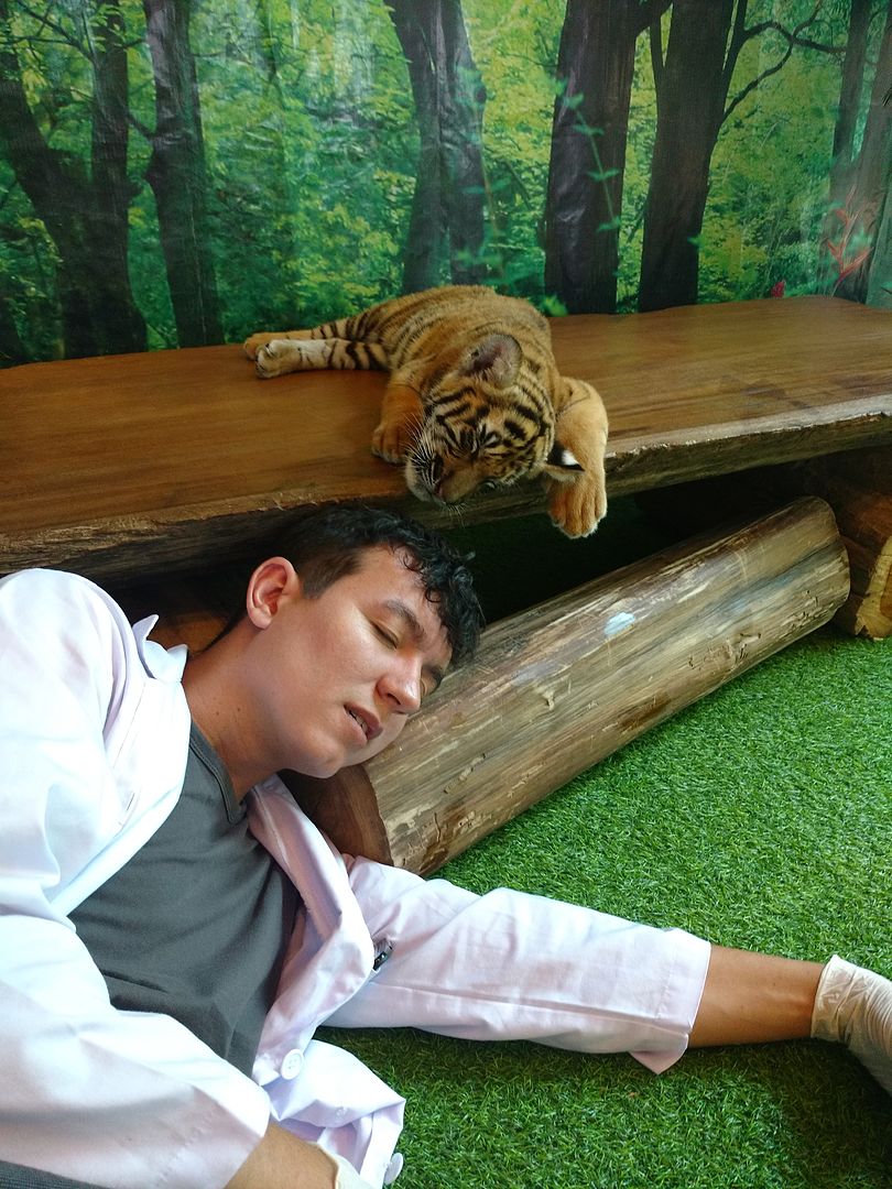 IMG_20160411_144443423?async&rand=0.03461145115658404