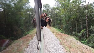 morretes-curitiba-parana-trem-1.jpg?fit=