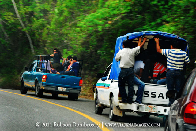 estrada-palenque-mexico.jpg