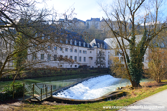 DSC_0640%25255B2%25255D.png?imgmax=800