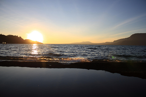 3467549974_7e1a4b4a19.jpg?v=0