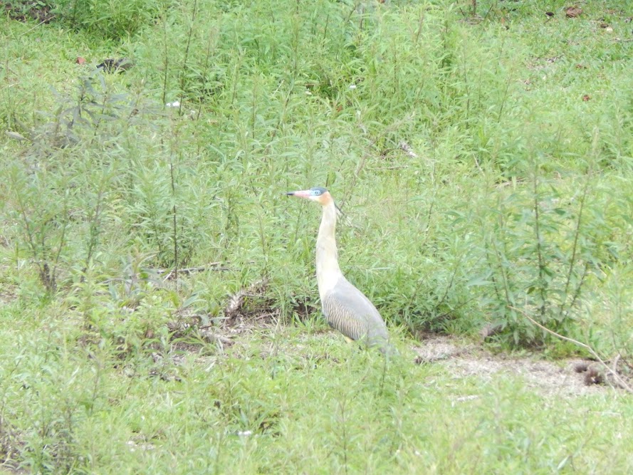 hFjcAxzT53x5ALuzx5OpUR3fegKnQWGIXt43RBVes4Ktt5lpxGbZ9k9W3QtFImM191cltCs-_Vg8xGxT8TCtFYau2BTF_6zxUz_g31QlGvlyHqOxWE-tgqMdci-fUxAPJzKlRNRvTwKolcZzGoB6hN_Uiw_e7of_HM7NcQavfyiosWWr9rxXngdgohhtxIjOYruPjTNuhAwddw4d9iG3oA-w84qvKfF1JkC8hBXO0sRKKou-lvs9b4yLnk0uPyq8CXMRvjXOh0dWiMDuh6JUVrDBKDsMfyQTLkDk0cl27esz0iKjHp4I4qL4sQCYPBZbiEAmi-j_5pNmcZXpkkPsRCKJ3n5ncWnNTG8J9pI52aUrKf6q-qfuX4k4JVBc21ve2jQ7VpqcD54gPueefNv37tQOyUnfYgkQNTgnmU2gyqJPtgLs9BXQBRfW2FHOHd61A9eu5mLTrHIIetN55FZ3aaL4IfPVypFeJhiPJBYfegUlwsDLO4YMahgl8xIT753OZ0I7ZFhV8jKDz8M7gWZm_MAnzAb7LundyZgA_RozwShsEm2iYPQua16xD2Rum_0shSu3=w890-h667-no