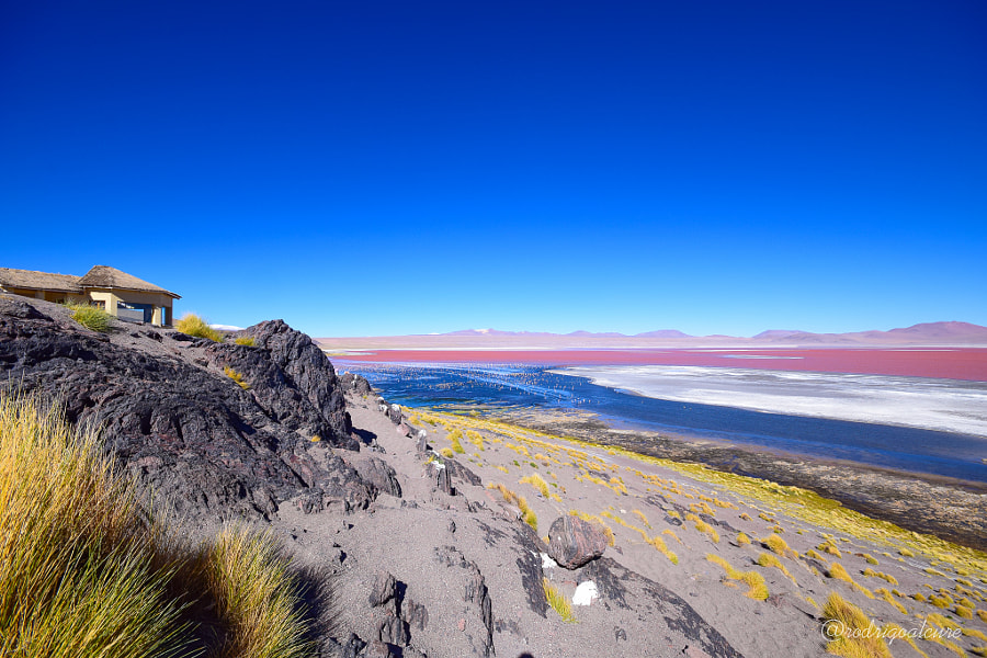 93529c38d70d9f9c942de87f7744188f