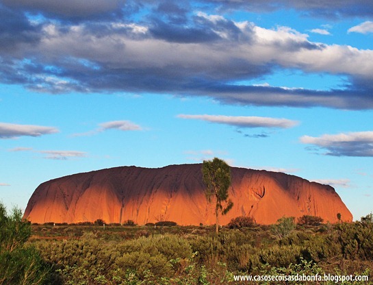 IMG_5318%25255B11%25255D.jpg?imgmax=800