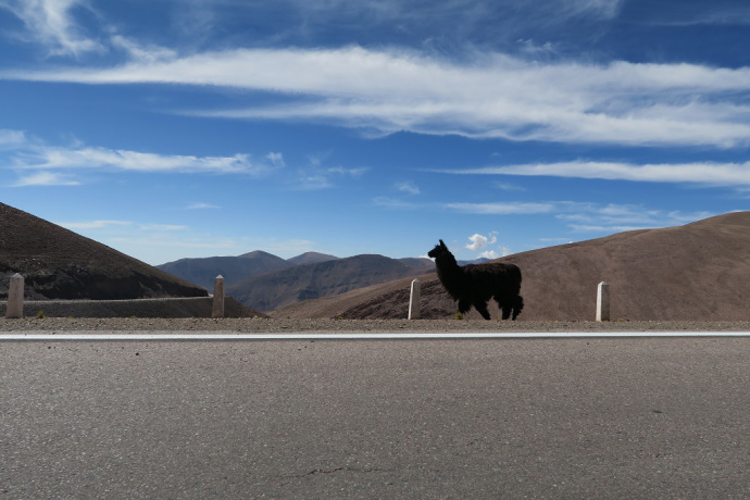 img_1176_zpspqhfadgp