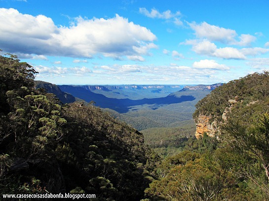 IMG_4856%25255B3%25255D.jpg?imgmax=800