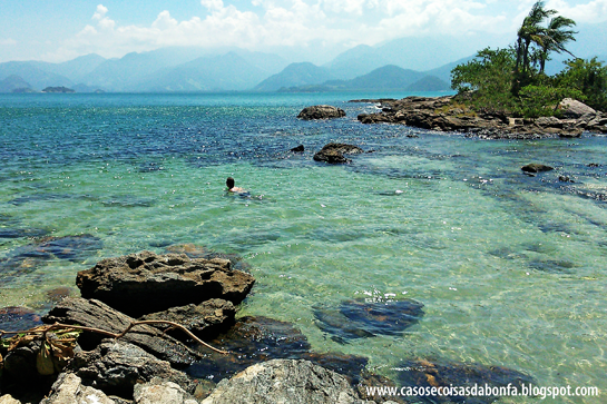 DSC_3352%25255B5%25255D.png?imgmax=800