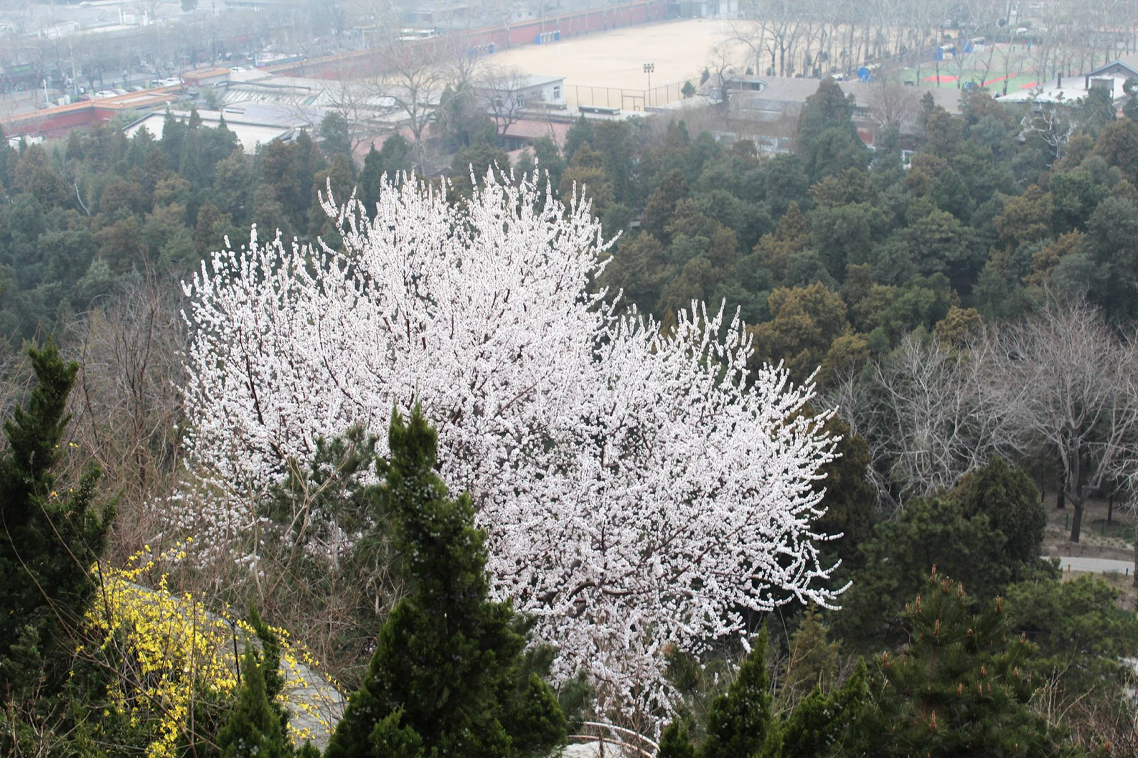 VFmdz9tMiiVs8ohoTZ6qDhk6qwwmnNvkBxl2iTe37XjOXA2537CDSoWPRoVg_du5KNSpz_rO6ETH5I9-N_hZZMAdz1_uZ-Ya6dHcW6iOJR3s0Y2tH30J4rcP8ONp0owDTC7EBrmB