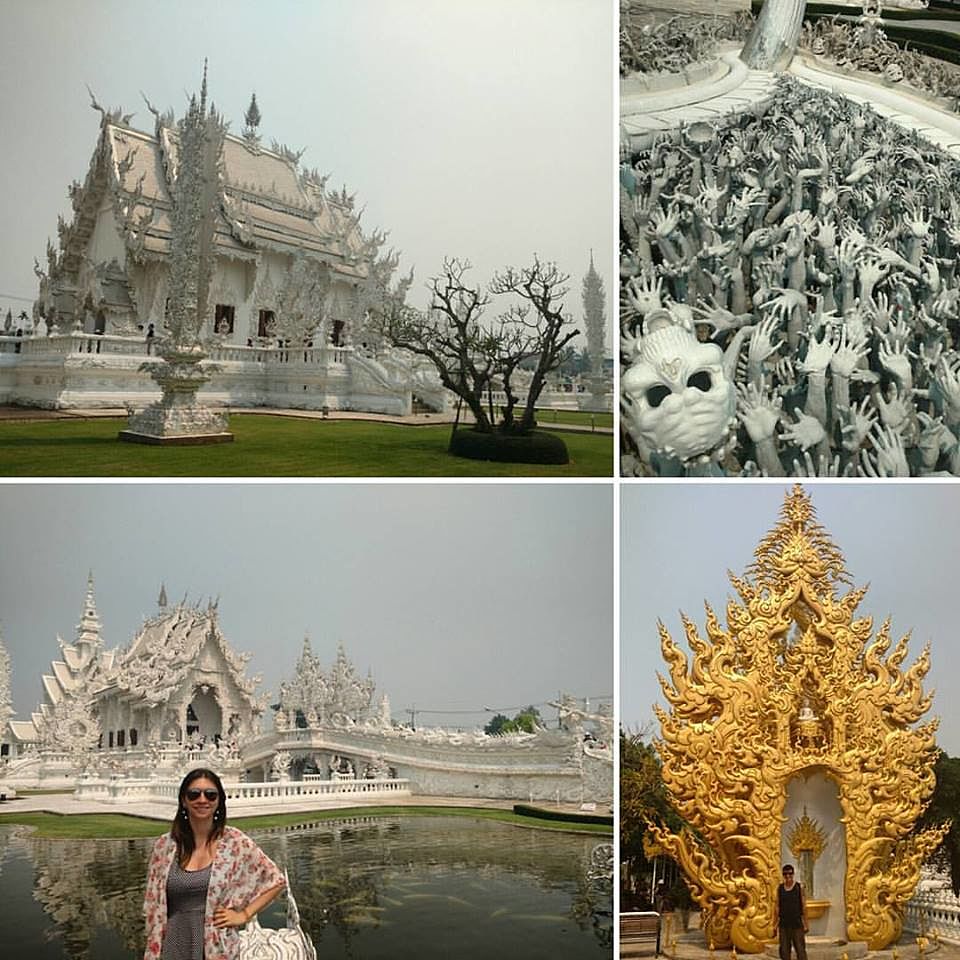 14_online?async&rand=0.7266174913733303