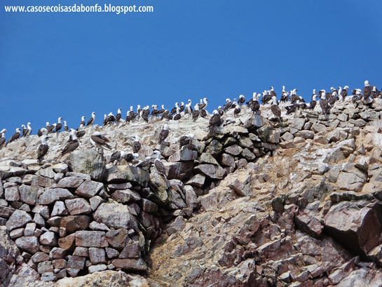 DSC07452%25255B2%25255D.png?imgmax=800