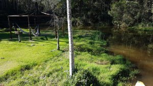 atibaia-pedra-grande-morangos-3.jpg?fit=