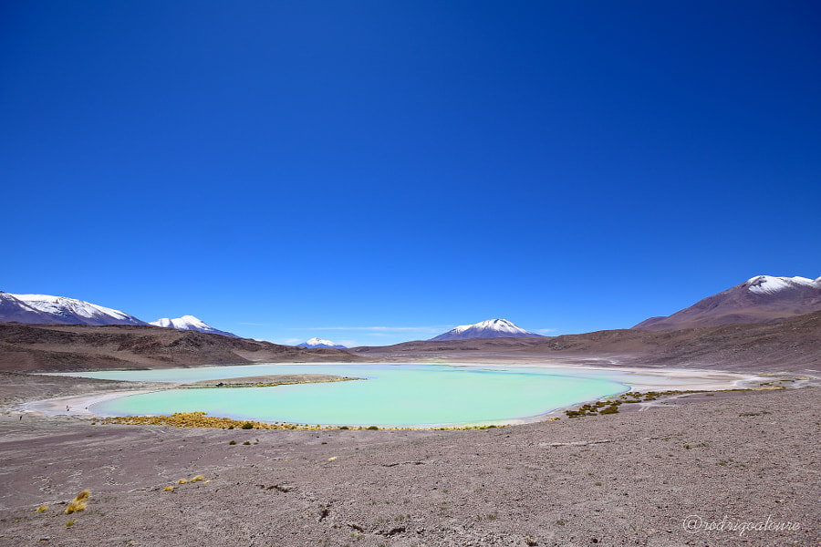 f88d18a20a8bed708418cad394703448