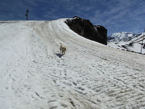 dscf0173-1.jpg?fit=500%2C375