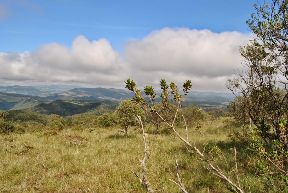 JoFGqWYLQ2_gXqhfC8zYQF7IzY7qgS2bFIBdMmMro6s=w994-h667-no