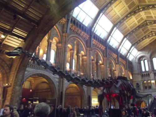 dscf1051.jpg?resize=500%2C375