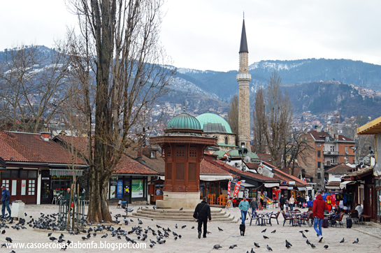 DSC_04432%25255B2%25255D.png?imgmax=800