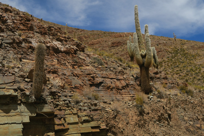 img_1244_zpsbre8hkkv