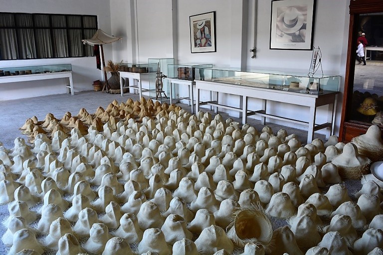 DSC_0428-2.jpg?resize=768%2C512