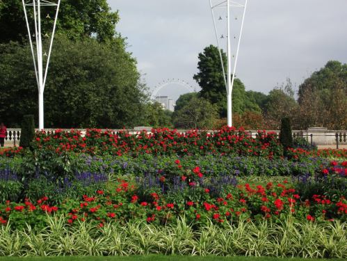 1294528_731333550216087_223377431_o.jpg?w=500