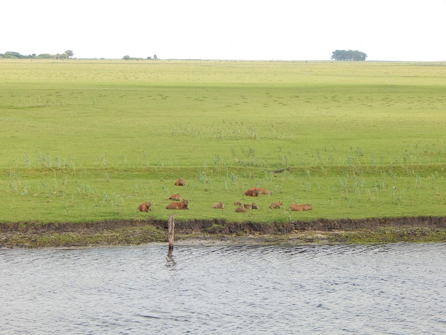 BxRVXiIl3qWkNvTa4ez2hW2Us1bzLx8fDW7krC-crLWyJtDTkS2hZw_hrfGqHvaMtuomOif-laMof0g8hv80EO25AgOCk2m-BaotqTnf_Y_HD2qO-3nB-t5muNVdCaOzIzID4cn3jCWSYnetnx1ElBxDTx2ufg1IulHJMAbnxKqS5i5JTVBWlTuppVJYwkoF1c1khE3GzGvhqtvPerw3aKgjkktNz9QttFrfDWPdL6mhF4CUrovkrqFQncUEMiPoWuftDseYogQ7ufsxu4LnMkrgprhKuqj6crp4WLoSvXuCaqG4lmMU0f6bQHRcPslvOp5MOEPCCOt2M8Svpioz62yo9jx0oM7p2Y2hgKQjgtmTXTHjtJAmDYG538eQYgXiEPGFIRkrLBSEZ8vXp4JRpy_Hi0_8kZXZlk4hymv0sRjip1ZbjSpHdqtiwr3kQbO6Gvw92romgpER3DKme-QviDw4rIATSTTc90tQti72AN_dZLUgX-TIWclk0gdcab_n0spuMI_dOaAGDIJoH44EgqlZxmf_Z9RAgtoeE3oWnNp0GGQSPyIbIkQh0zeVdjxyYzOlsNWIHoTEB4Cf96FYUkCwZuTkkv6VbkRC5WJbCxFcea10NmTj=w883-h662-no