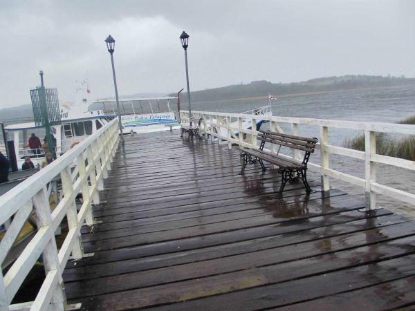 DSCF0548.jpg?resize=600%2C450