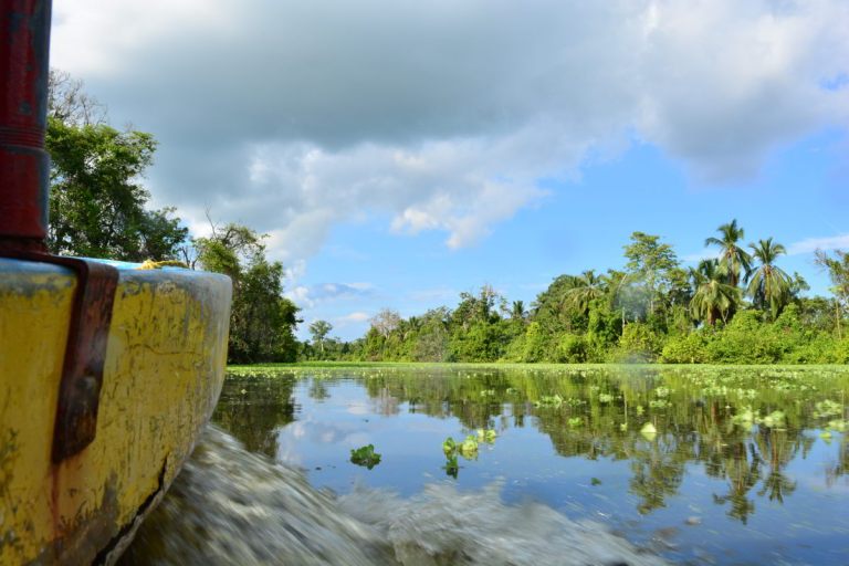 DSC_0079.jpg?resize=768%2C512