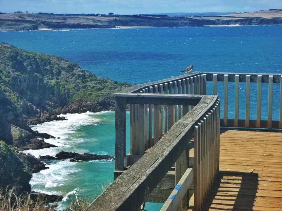 IMG_3603.png?zoom=2&resize=728%2C546