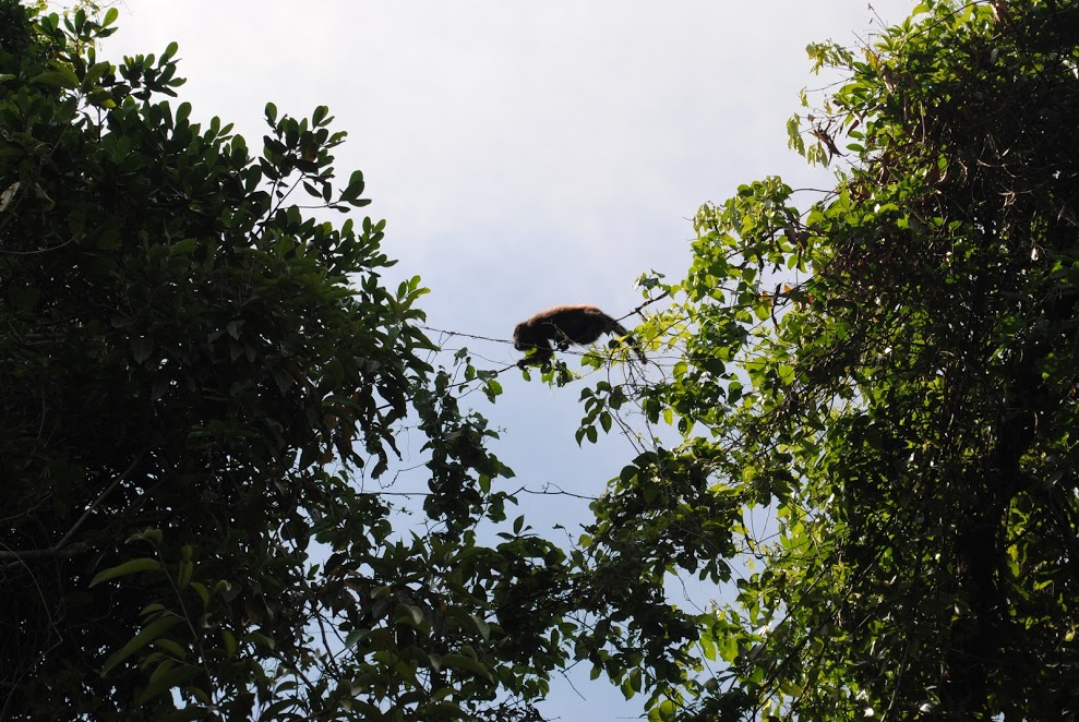 lvgWNdeagNSS1uqv_S1ZpnUvuEbbZ2K6wO1gO_BfAZST5_l37B-GV7FrcNiJUk55EHkLr8YTea_aRzcdyuhjqDGJCLajGmKbSbVdk96oIoBZ1wdm807aexN-hrbUXHiISxytqEKfg-C-gN1uKNYR2aeRBaWcHguPRBvdM4vHHaaEpd1zmiSTC-lMWYRWQTniB4dAVhEjTRLuNVeNp12wuqe6j7XaZBO-jqrA2L_y3cvg24rijkKlp1ncUjTs7J1t2BNkJ4kv_Mbi3kYrxNK16793uhdKMC8EPQ0MfDwrR0xYzL-lM4vBR4AKAJa5f0b5qP62l_gygpPMjaY3tpGbVJghWL0FOsA2Tjjs-lohlhzjtIvi0REDfrVCkZrJlwa1Kil866bDjbTusVTUyucYLJI72_mnAHniv0-yRr6rFWegeiA0WcFOX8sGgyrie8jDtpJZkRrzCXwVDRbO36n3zteKX4u-36zjfKXsA9U1-wXTxtcElxAsJDzkKxGon0aBcEbM48oxjxFZuX6Agf2jOYdGWO8JzMfMH3nFf0kH_VRJIRElDo6pWz6rJfOex9eyyHL7_tUdf9AA2aYF4Ypeln8G0c-a8AG3vB0dZ1h8RjWnXpJO-z1LUMsTXBde3SfT6aM3a14degC_ucqS0bSAEZ63mgMZ72PKNeHpszGfj0o=w989-h663-no