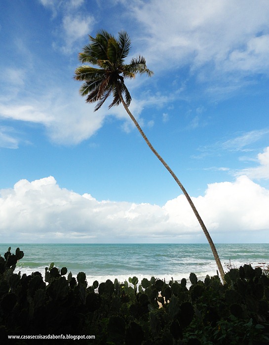 DSC07956%25255B5%25255D.jpg?imgmax=800