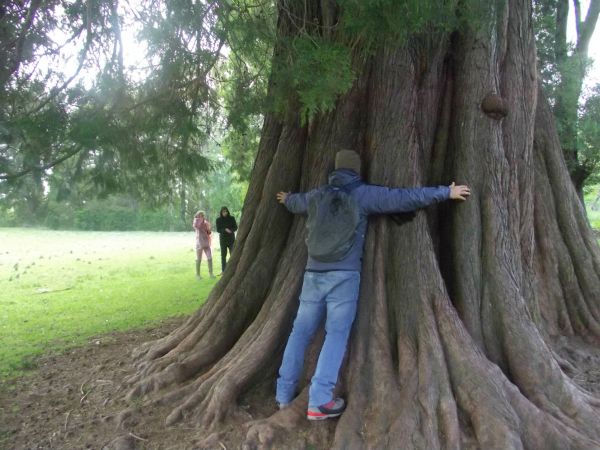 DSCF0569.jpg?resize=600%2C450