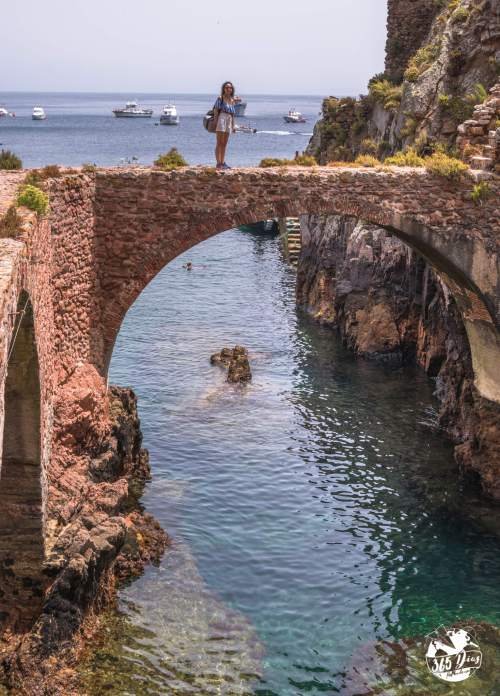 berlengas (7)