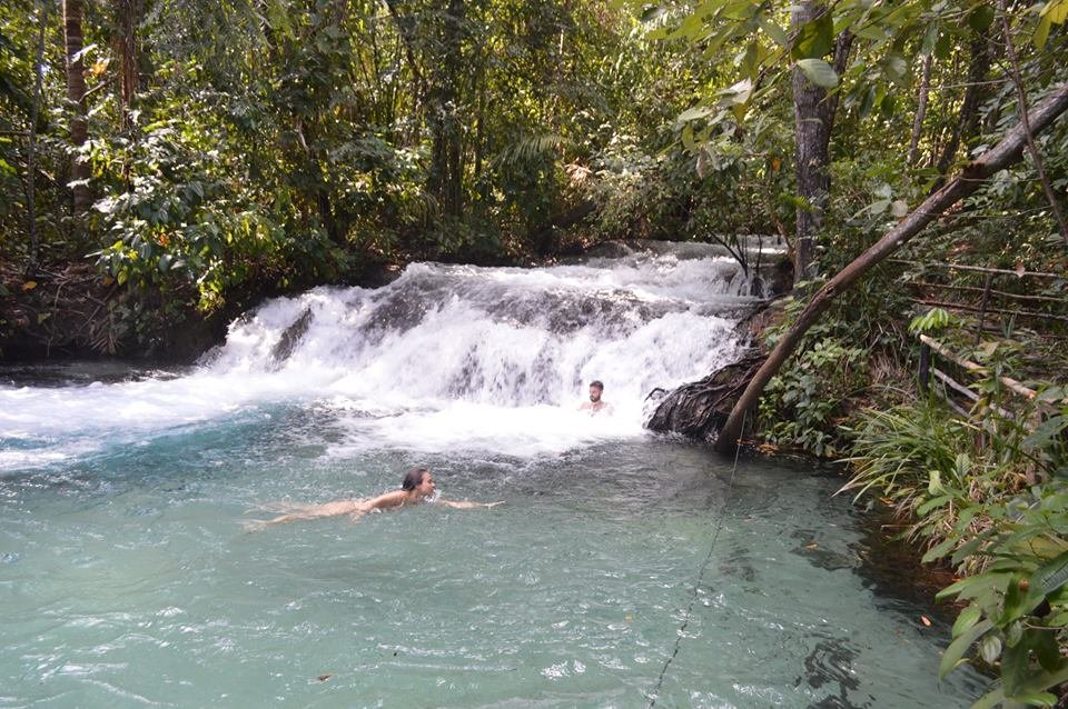 A imagem pode conter: planta, atividades ao ar livre, natureza e Ã¡gua