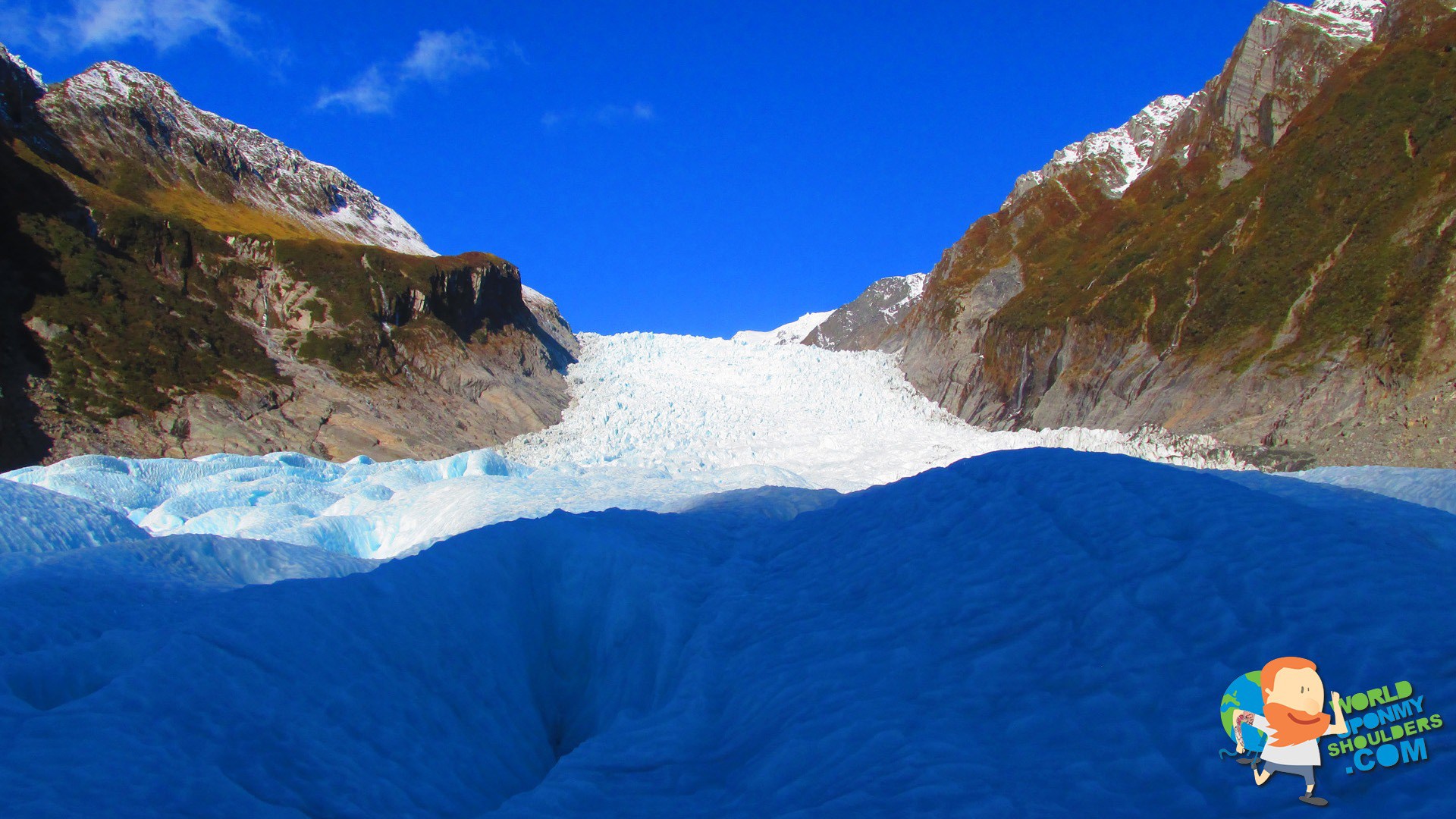 fox_glacier-3.jpg