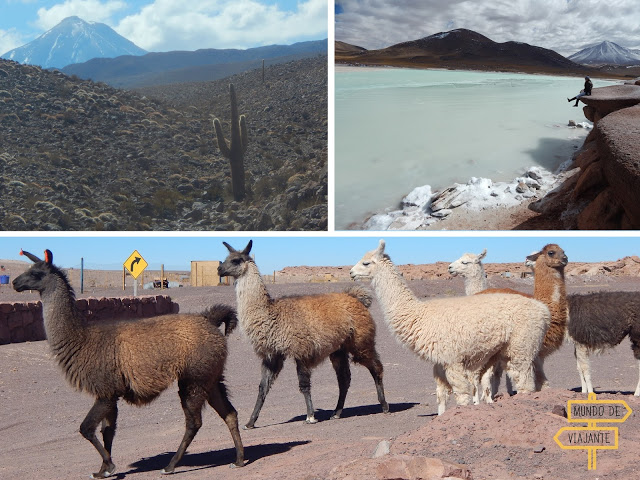 img-passeios-deserto-do-atacama.jpg