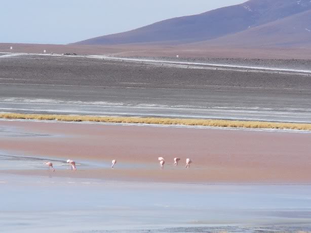 lagunacolorada.jpg