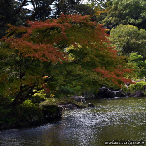 Outono no Narita-san