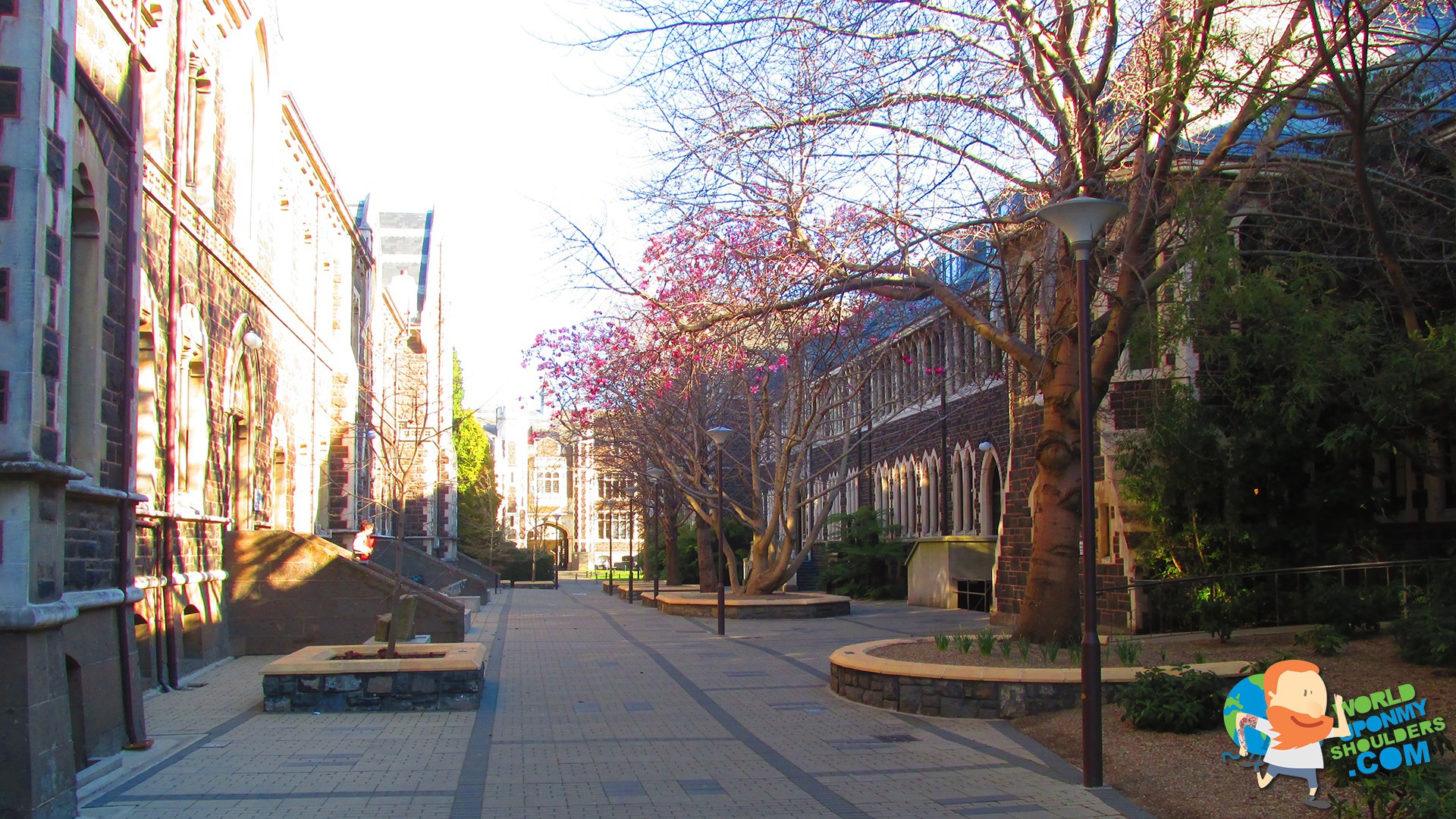otago-university-2.jpg