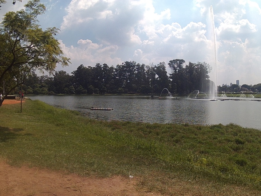 parque-do-ibirapuera-chafaris-em-movimento.jpg